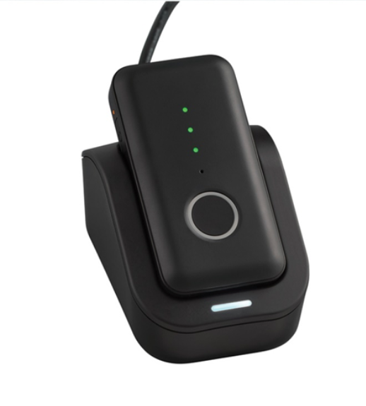 CNP Gemini Pendant